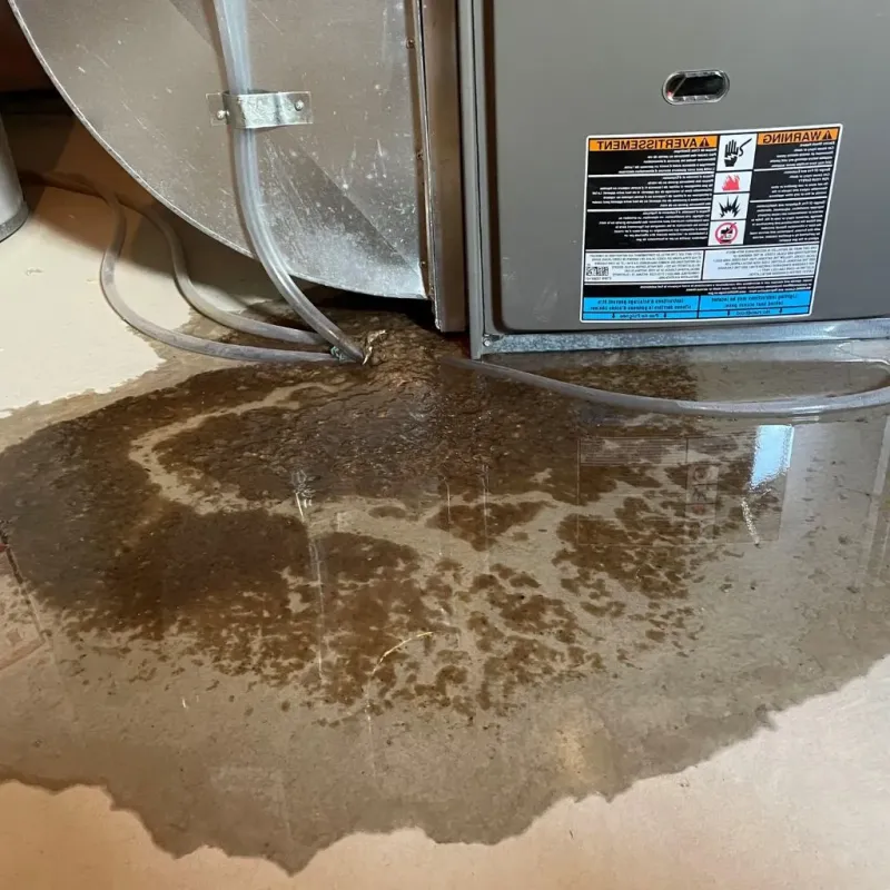 Pipe Burst and Leak Restoration in Perry County, MS