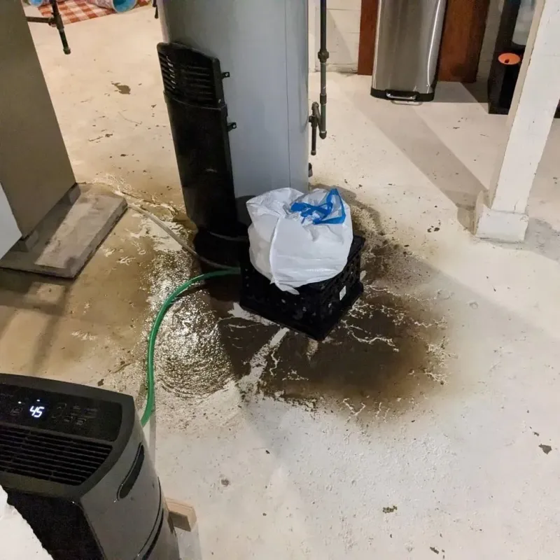 Sewage Backup Cleanup Service in Perry County, MS